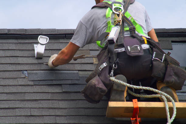 Best New Roof Installation  in Cedar Springs, MI