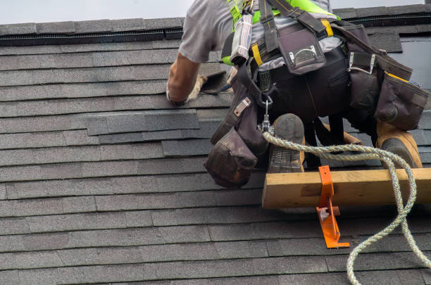 Roof Gutter Cleaning in Cedar Springs, MI