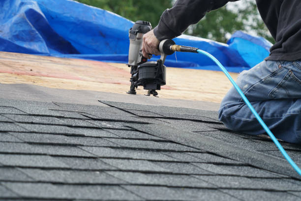 Best Roof Waterproofing Services  in Cedar Springs, MI