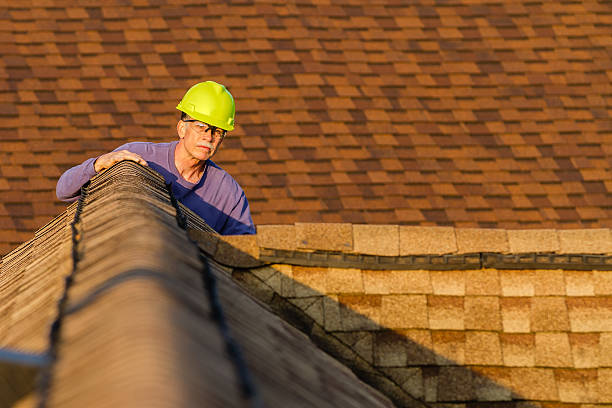Best Roofing Contractor Near Me  in Cedar Springs, MI