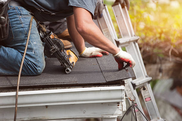 Roof Waterproofing Services in Cedar Springs, MI